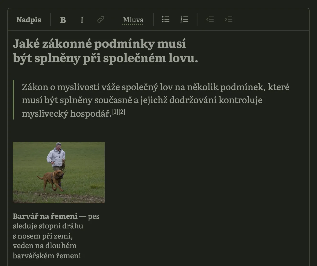 Editor na stránce: lišta s tlačítky, otázka jako nadpis, úvodní věta odpovědi a fotka s popiskem