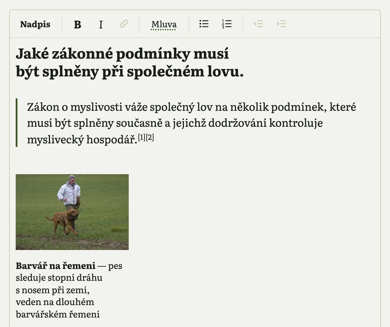 Editor na stránce: lišta s tlačítky, otázka jako nadpis, úvodní věta odpovědi a fotka s popiskem