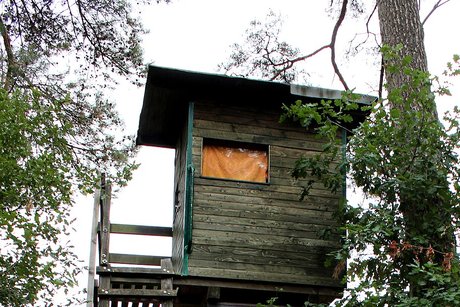 Čekaná
