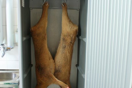 Chladicí box