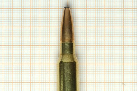 .300 Win. Mag.