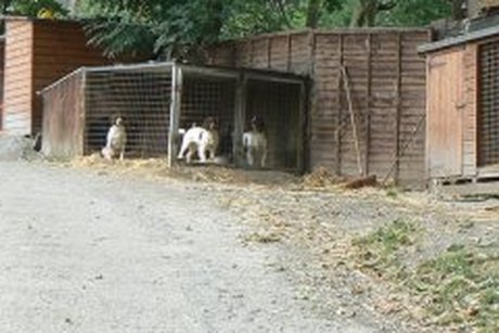 Kotec
