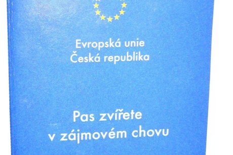 Pas psa