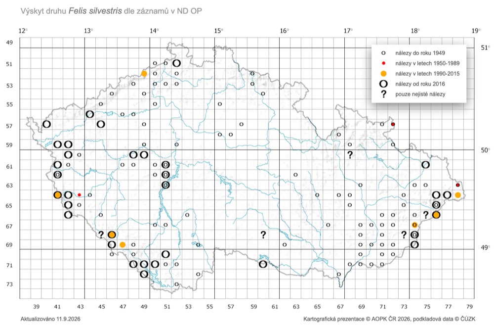 Mapa výskytu kočky divoké v České republice