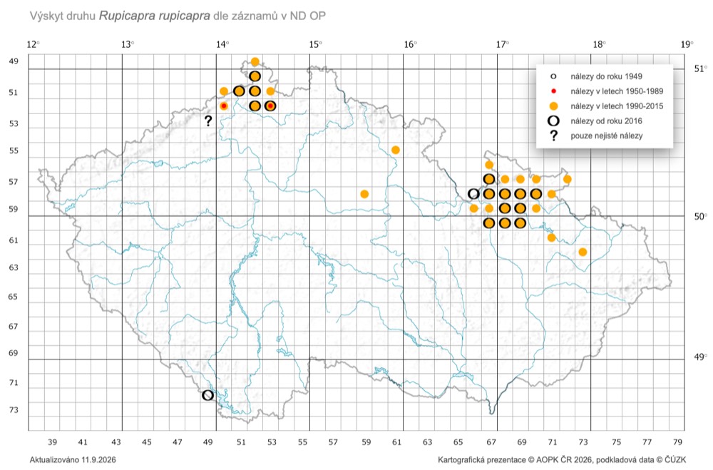 Mapa výskytu kamzíka horského v České republice