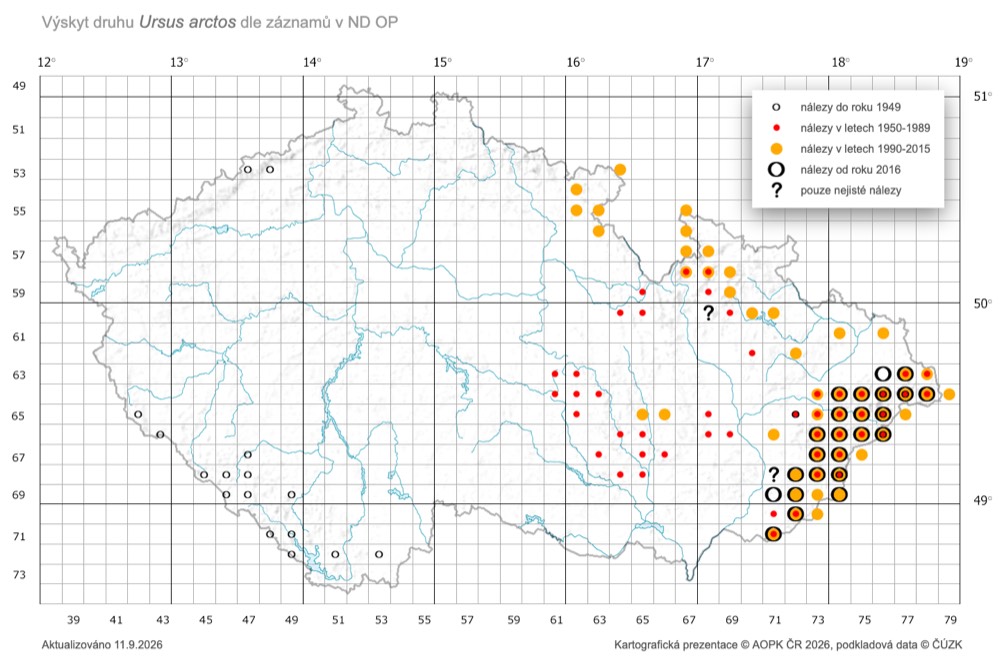 Mapa výskytu medvěda hnědého v České republice