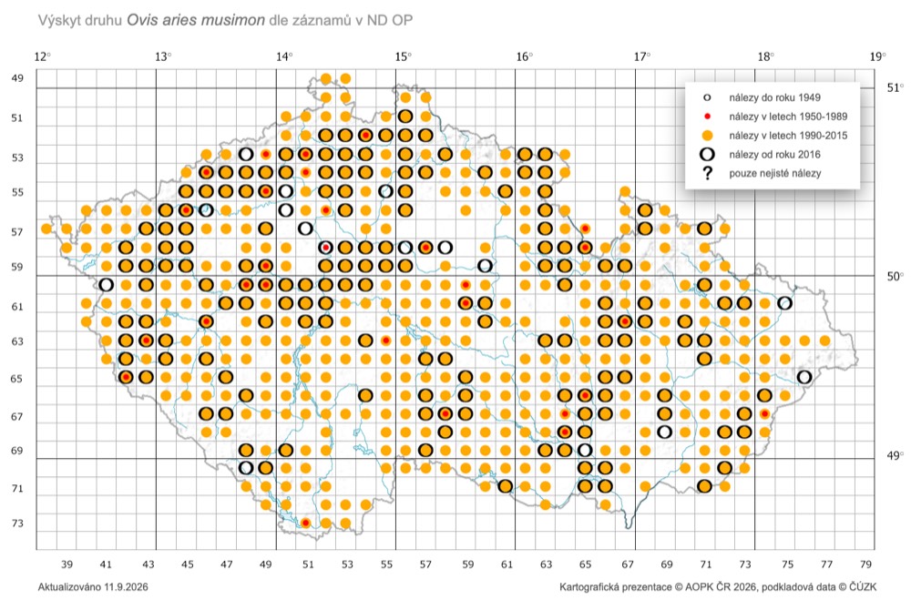 Mapa výskytu muflona v České republice