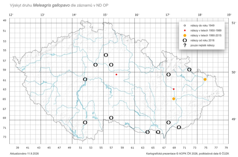 Mapa výskytu krocana divokého v České republice