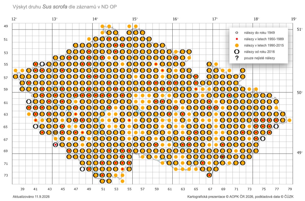 Mapa výskytu prasete divokého v České republice