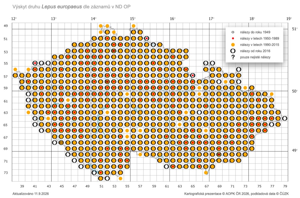 Mapa výskytu zajíce polního v České republice