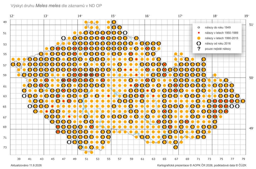 Mapa výskytu jezevce lesního v České republice