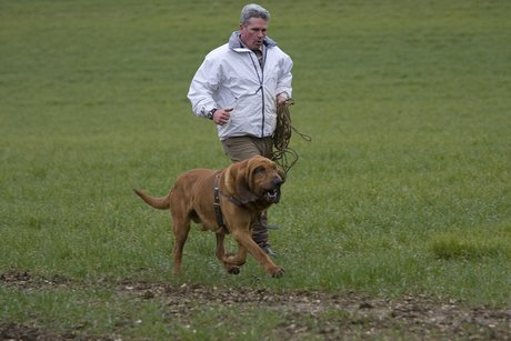Dosled na řemeni