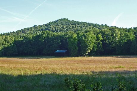 Zvěrní louka