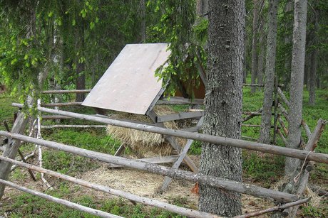 Zásyp