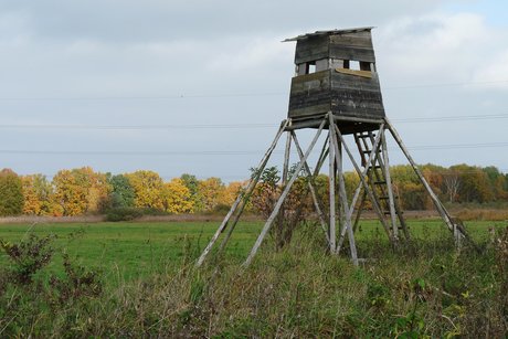 Kazatelna