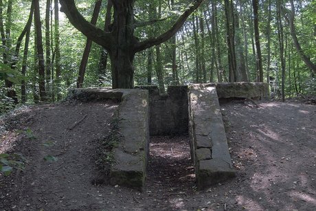 Střelecká záštita